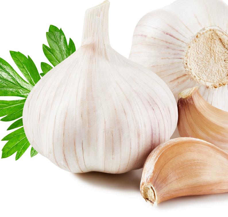 Garlic and herbs