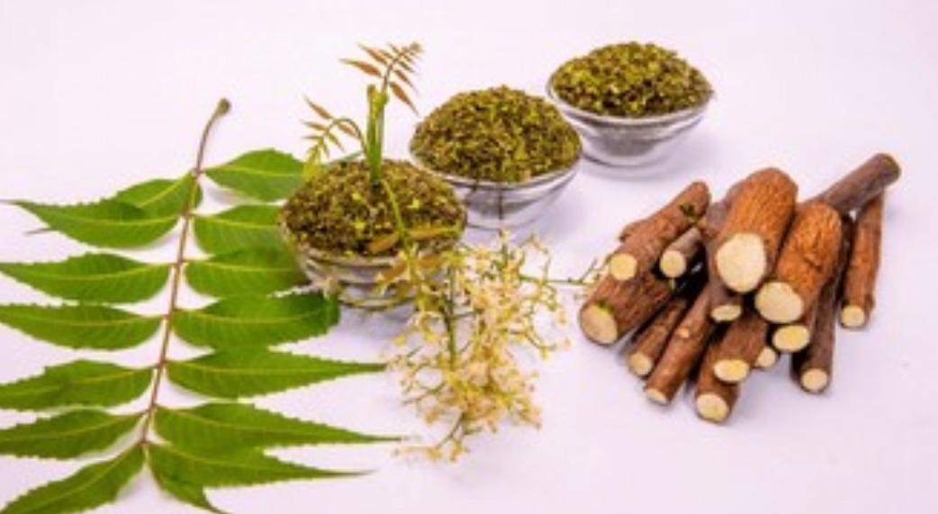 Ginger and neem